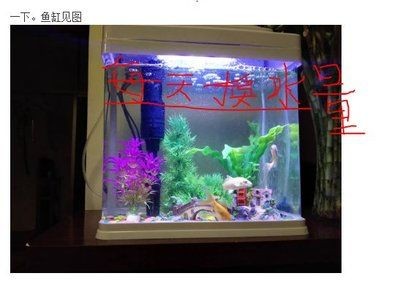 大魚缸金魚多久換一次水比較好：養金魚時換水頻率并非固定不變而是受到多種因素影響
