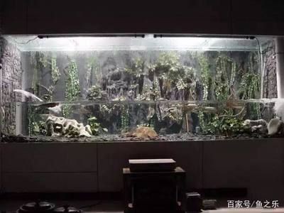 大魚缸不養魚造景：大魚缸不養魚的造景方法