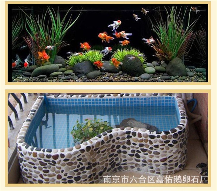 鵝卵石魚缸造景效果圖：鵝卵石魚缸造景效果圖是什么？