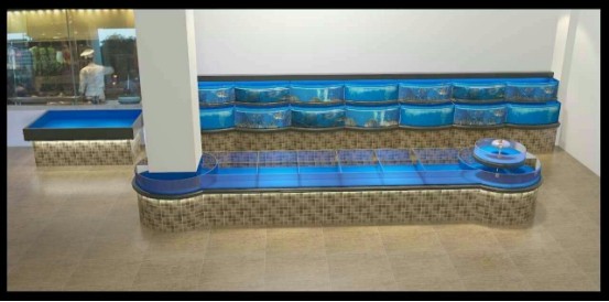 亳州市經開區寒冰雨水族館（亳州市經開區寒冰雨水族館電話）