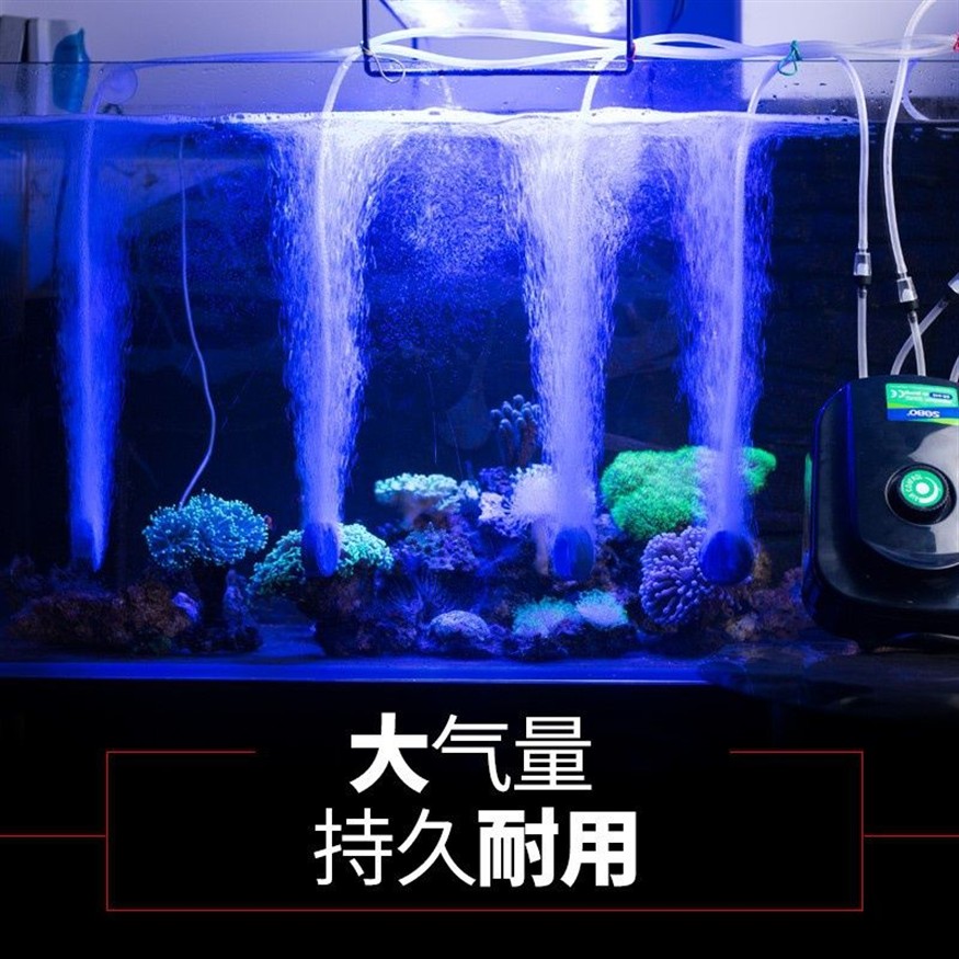 多大的魚缸用多大的氧氣泵：如何選擇合適的氧氣泵