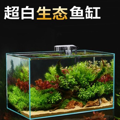 遷安市馬蘭莊鎮(zhèn)魚戀花花卉水族店（遷安市馬蘭莊鎮(zhèn)魚戀花花卉水族店電話）