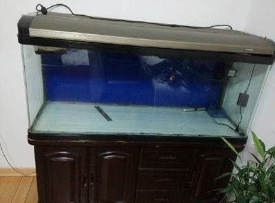 搬家魚缸搬家帶不走怎么辦視頻：魚缸搬運技巧