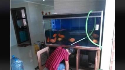 搬家魚缸搬家帶不走怎么辦視頻：魚缸搬運技巧