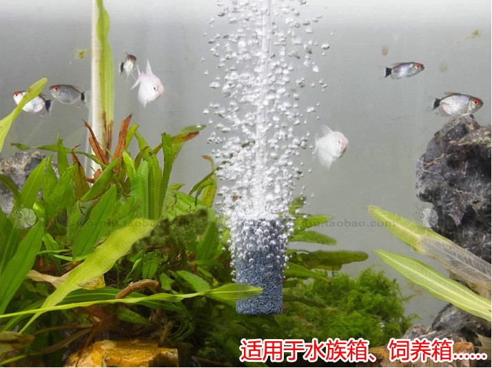 許昌魏都標兵觀賞魚水族器材銷售中心（許昌魏都區(qū)哪里有）