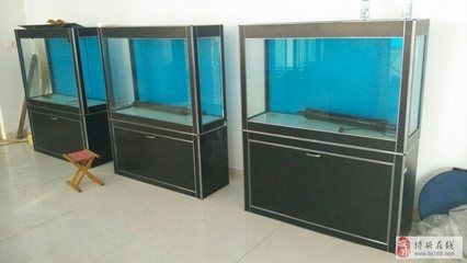 大型魚缸定做廠家直銷價格多少：大型魚缸定做廠家直銷價格因地區、材質、尺寸等因素有所不同 大型魚缸定做廠家直銷價格多少：大型魚缸定做廠家直銷價格因地區、材質、尺寸等因素有所不同 魚缸百科 第4張