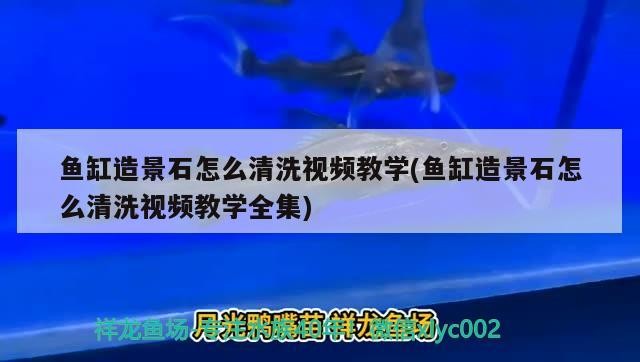 虎魚漏肉