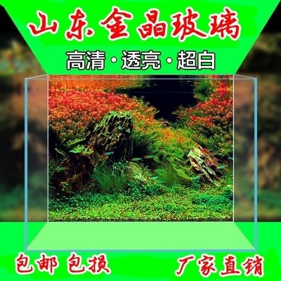茶臺魚缸 玻璃：在選擇茶臺魚缸時，需要考慮以下幾個方面，您需要考慮