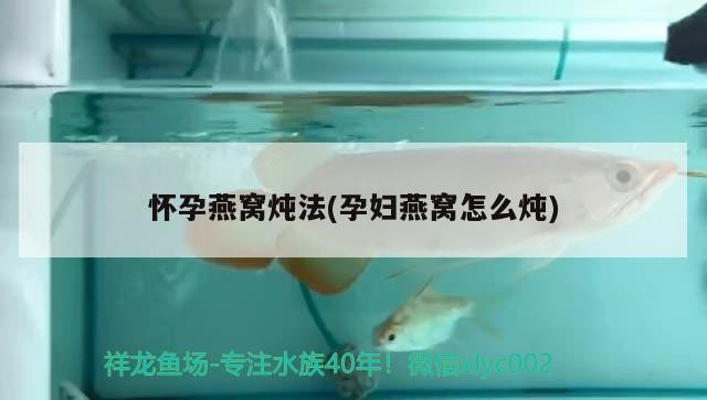 太陽(yáng)光下的龍魚虎魚