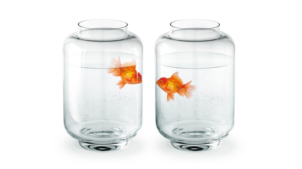 安陽市殷都區好多魚水族館（安陽市魚滿多）