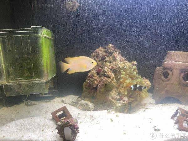 棗莊市山亭區(qū)海興水族館（棗莊市山亭區(qū)海興水族館電話）