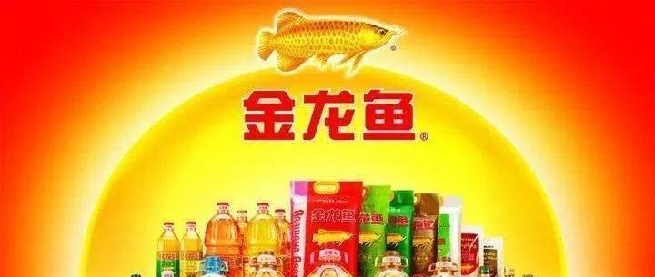 紅龍魚老是趴缸子怎么回事兒啊視頻（紅龍魚老是趴缸子怎么回事兒啊視頻講解）