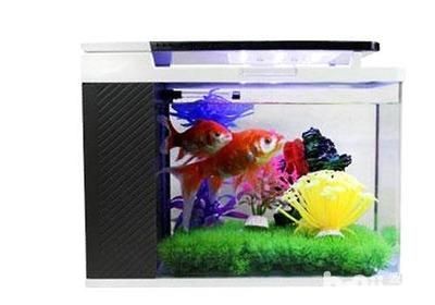 超白魚缸最簡單的鑒別方法視頻：如何鑒別超白魚缸？