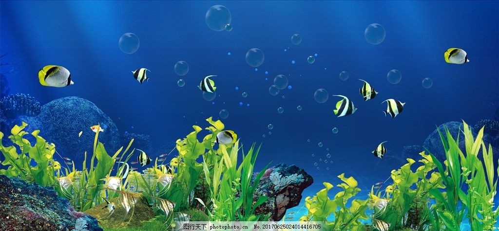 超清魚缸背景圖：超清的魚缸背景圖素材大全