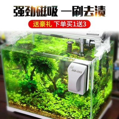 大型魚缸清洗神器視頻：大型魚缸清洗神器的種類與使用方法