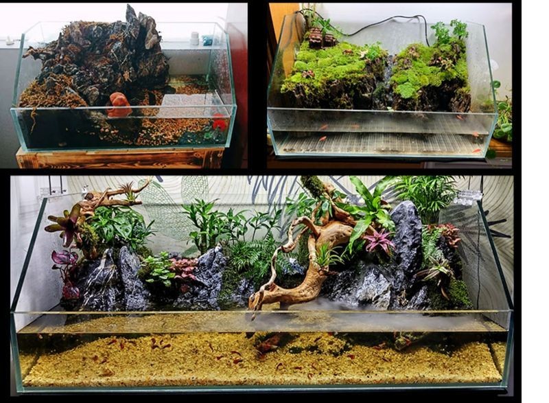 超大魚缸造景：超大魚缸造景的基本步驟
