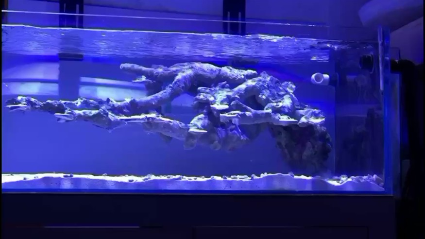 梧州水族館:海缸