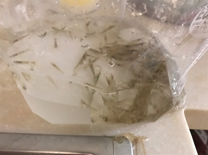 給龍魚(yú)和虎魚(yú)買了點(diǎn)小零食省事直接喂虎魚(yú)還吃