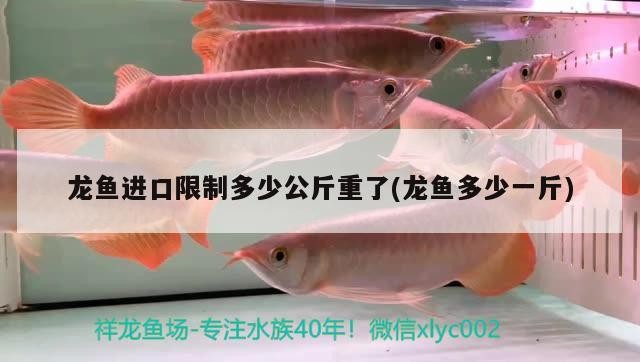 今天添了一條虎魚20多公分