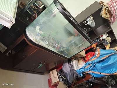 搬家魚缸提前搬可以嗎視頻：關于魚缸搬運的一些關鍵步驟和注意事項 搬家魚缸提前搬可以嗎視頻：關于魚缸搬運的一些關鍵步驟和注意事項 魚缸百科 第2張