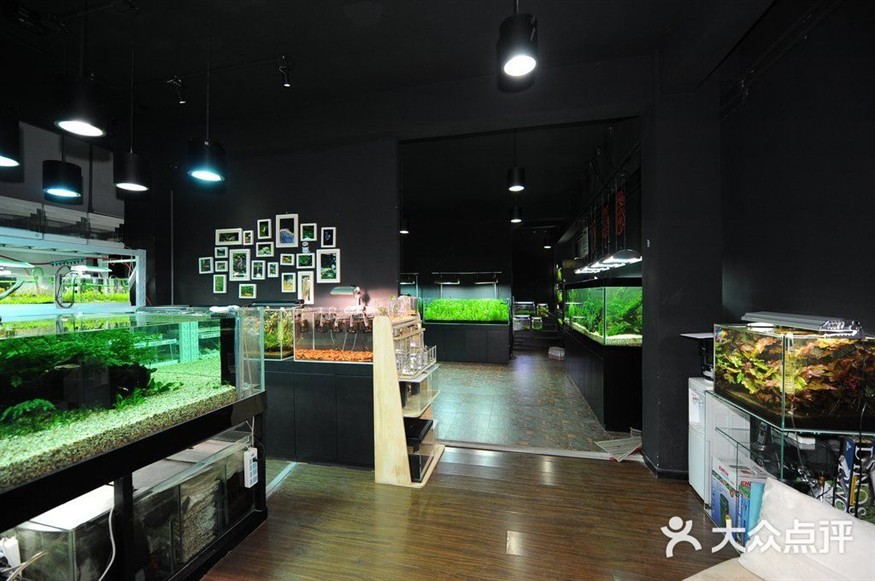 單縣哪里有賣魚缸的店鋪：單縣賣魚缸的店鋪 單縣哪里有賣魚缸的店鋪：單縣賣魚缸的店鋪 魚缸百科 第1張