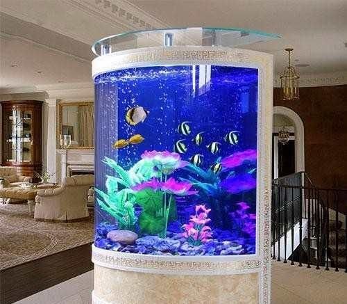 敞開式魚缸屋里濕度大：敞開式魚缸會增加室內濕度嗎？