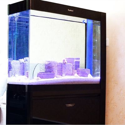 敞開式魚缸屋里濕度大：敞開式魚缸會增加室內濕度嗎？