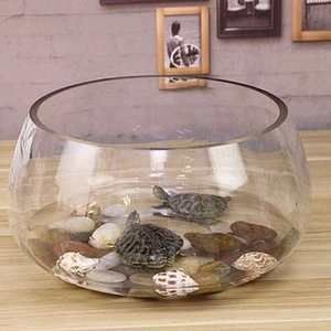 玻璃圓魚缸：玻璃圓魚缸的優點和缺點和缺點和缺點和缺點