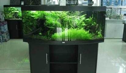 大型造景魚缸推薦：大型造景魚缸選擇