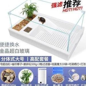 大型造景魚缸推薦：大型造景魚缸選擇