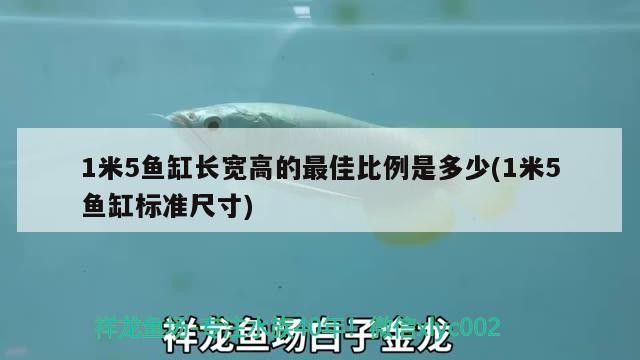 1米5魚缸長寬高的最佳比例是多少(1米5魚缸標準尺寸)
