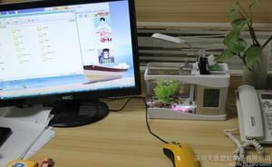 大型魚缸批發(fā)市場在哪里進(jìn)貨：全國主要的魚缸批發(fā)市場盤點(diǎn)