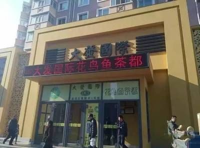 大型魚缸批發(fā)市場在哪里進(jìn)貨：全國主要的魚缸批發(fā)市場盤點(diǎn)