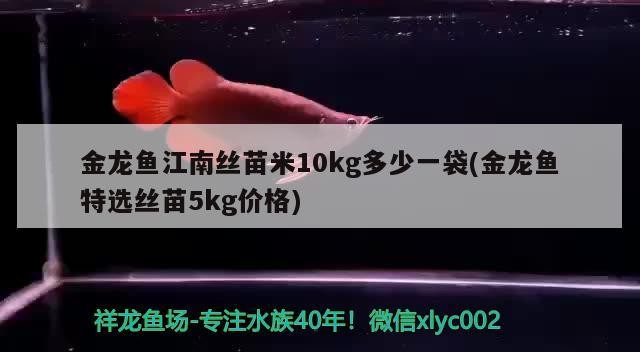 金龍魚(yú)江南絲苗米10kg多少一袋(金龍魚(yú)特選絲苗5kg價(jià)格)