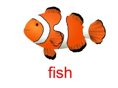 帶我去魚缸咖啡店英語：\takemetothefish