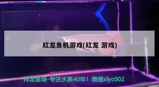 龍魚蒙眼加多少鹽，龍魚爛眼，蒙眼，虎魚爛鰭是怎么回事