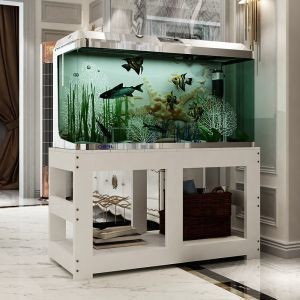大型魚缸定制哪家好呢知乎：大型魚缸定制公司推薦