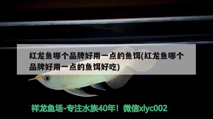 虎魚缸用什么燈 虎魚缸用什么燈比較好 虎魚百科 第2張 虎魚缸用什么燈 虎魚缸用什么燈比較好 虎魚缸用什么燈 虎魚缸用什么燈比較好 虎魚百科 第2張