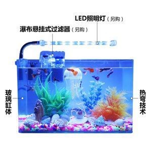 斗魚缸用什么過濾器好：斗魚缸過濾器的選擇指南