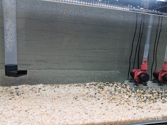 2米龍魚缸一個月耗電多少正常