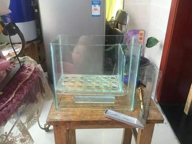 1米8魚缸用多厚的玻璃膠水：1米8的魚缸用多厚的玻璃膠水