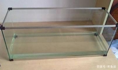 玻璃膠 魚缸：玻璃膠在魚缸中的應用