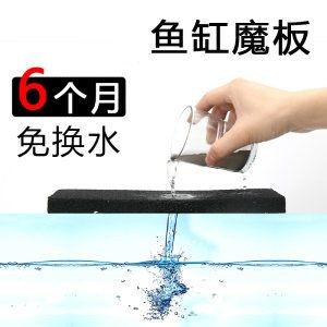 大魚缸要換水嗎：魚缸換水注意事項在給魚缸換水的頻率和方法需要注意