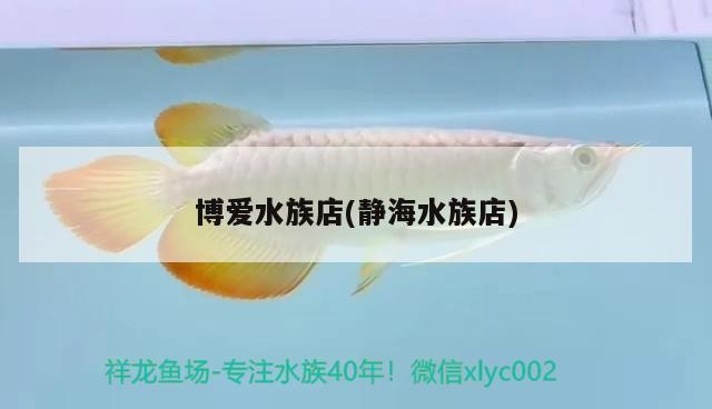 博愛(ài)水族店(靜海水族店)