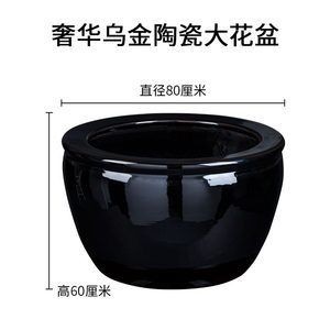 大花盆改魚(yú)缸怎么堵：大花盆改魚(yú)缸堵眼方法 大花盆改魚(yú)缸怎么堵：大花盆改魚(yú)缸堵眼方法 魚(yú)缸百科 第4張