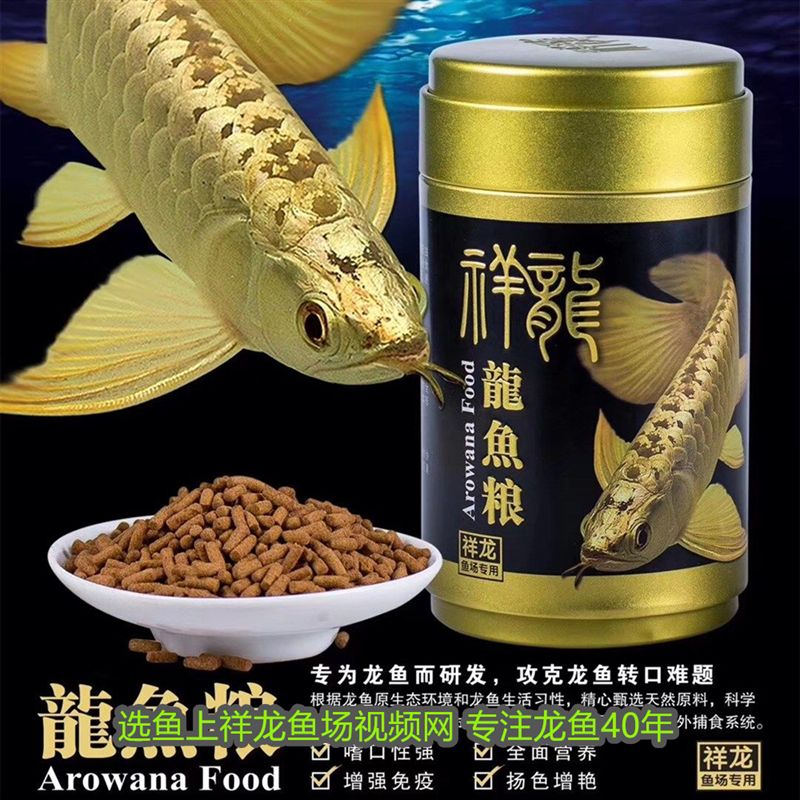 金龍魚喂養什么飼料好