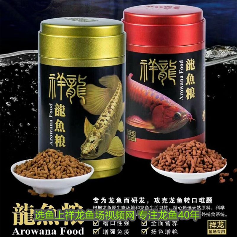 金龍魚喂養什么飼料好