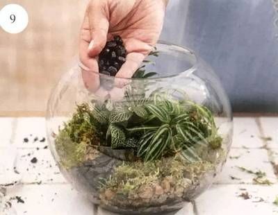玻璃魚缸不養魚還能干什么：玻璃玻璃魚缸不養魚的其他用途