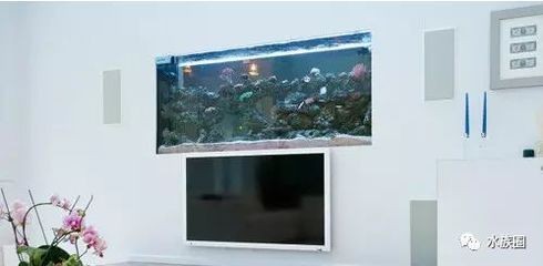 瓷磚魚缸效果圖：瓷磚魚缸制作步驟