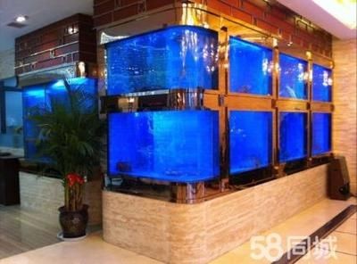 定做飯店魚缸：江陰海鮮池魚缸定做